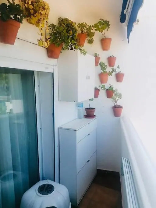 Bonito Apartamento Cerca De Puerto Banus Διαμέρισμα Μαρμπέλλα Ισπανία